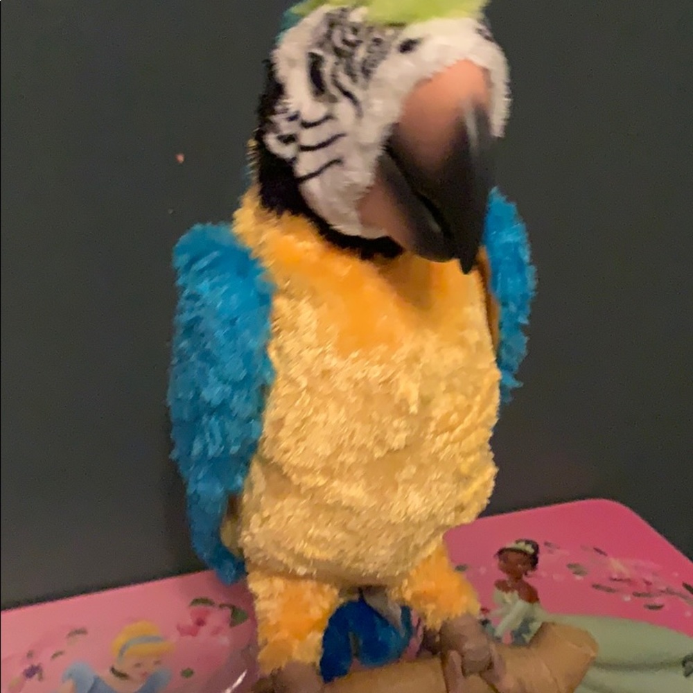Furreal Friends Quaker Parrot - Picture 3 of 3
